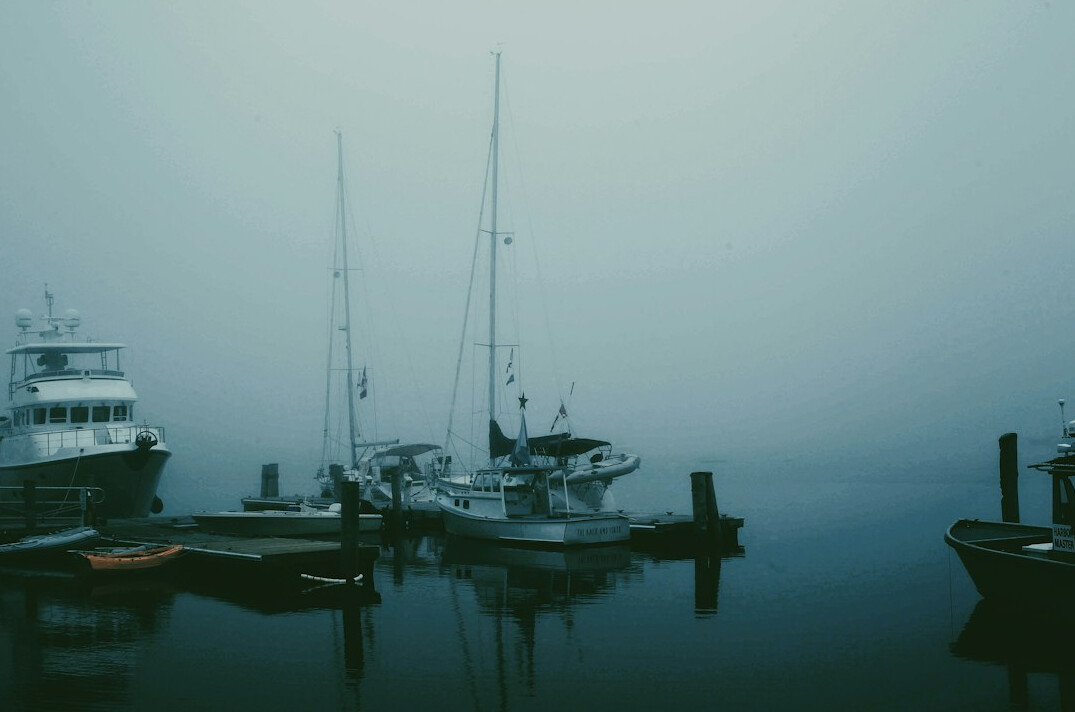 Foggy harbor at dawn with silhouetted boats
